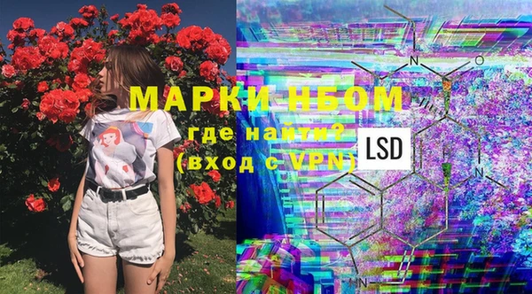 стафф Каменка
