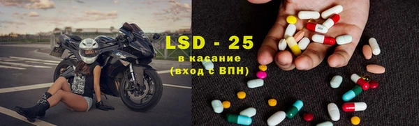 амф Каменногорск