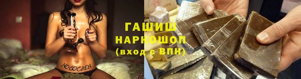 стафф Каменка