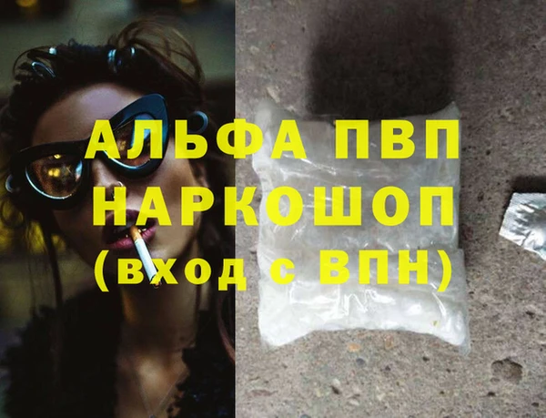 стафф Каменка
