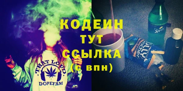 стафф Каменка