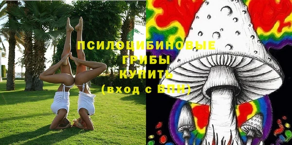 ешки Каменск-Шахтинский