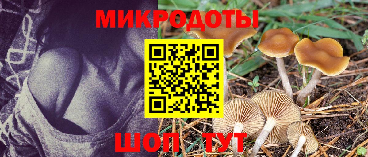 Псилоцибиновые грибы мухоморы Троицк